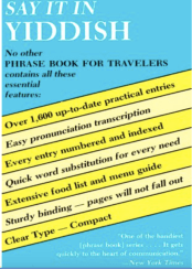 SayItInYiddish